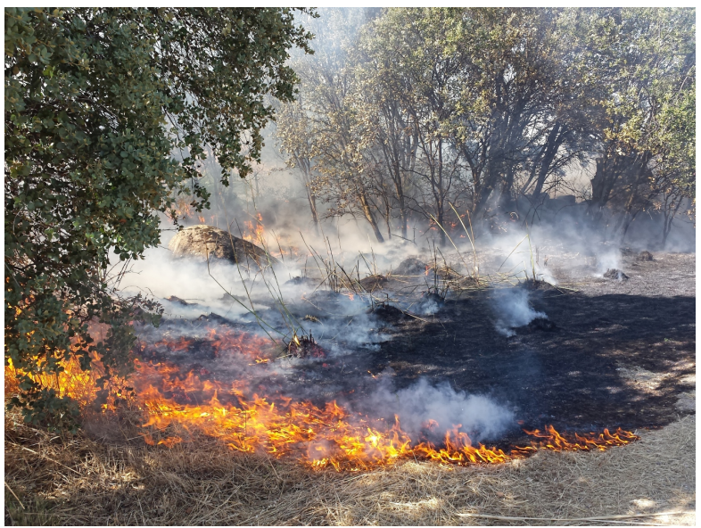 1666506336532861.png image.png