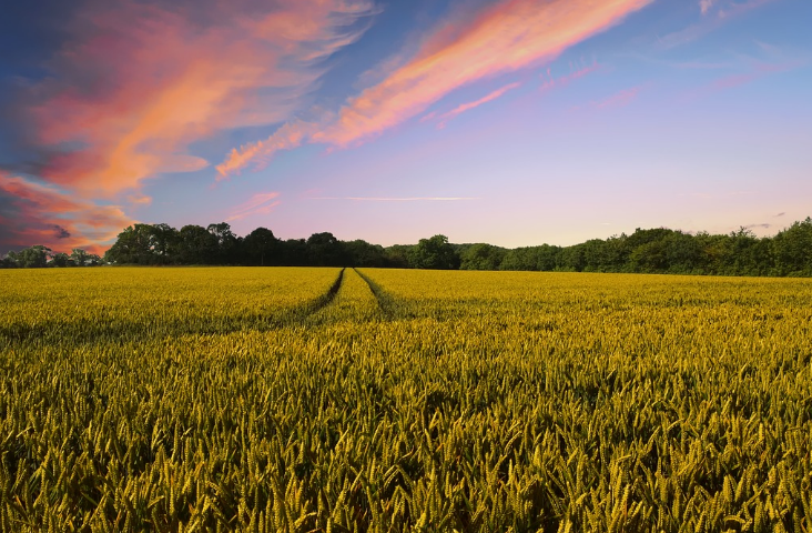 奧斯恩智慧農(nóng)業(yè)氣象監(jiān)測站、助推高標(biāo)準(zhǔn)農(nóng)田建設(shè)應(yīng)用百科