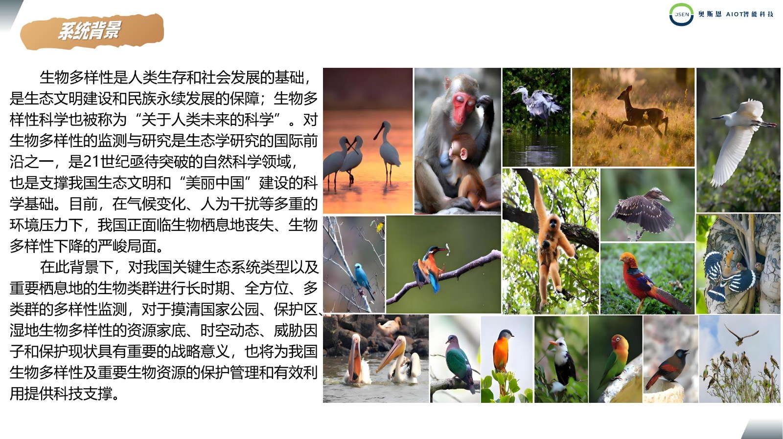 1716543243687703.jpg 1716543243687703.jpg