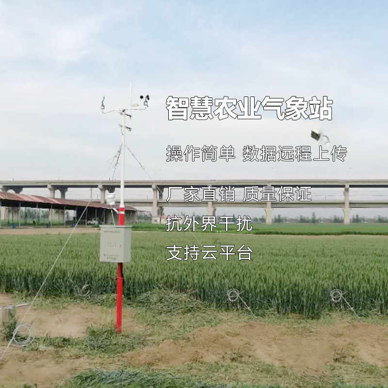 智慧農(nóng)業(yè)綜合氣象參數(shù)監(jiān)測站 雨量溫濕度光照大氣壓風速風向觀測
