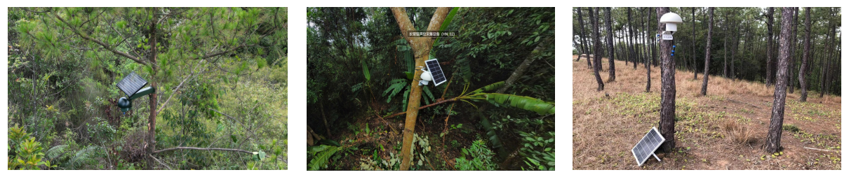 1732074112338491.png 鳥類.png