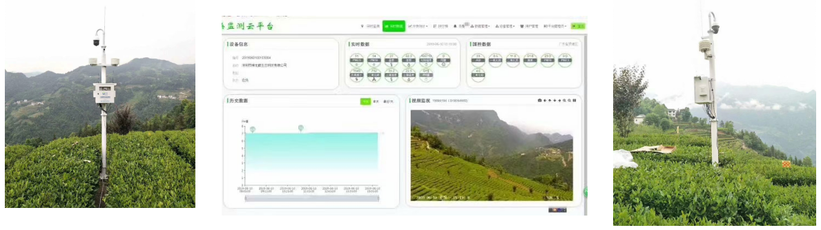 1732935201637295.png 茶園氣象.png